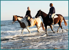 Beaches on Seabrook Island